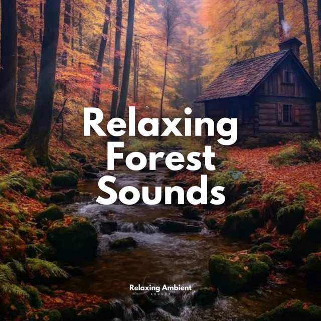 Relaxing Forest Sounds playlist cover