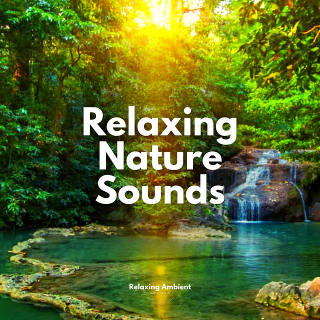 Relaxing Nature Sounds playlist cover